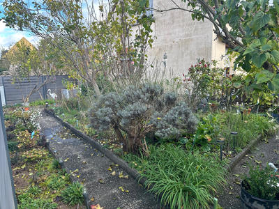 Maison - 91 m² - 4 pièces