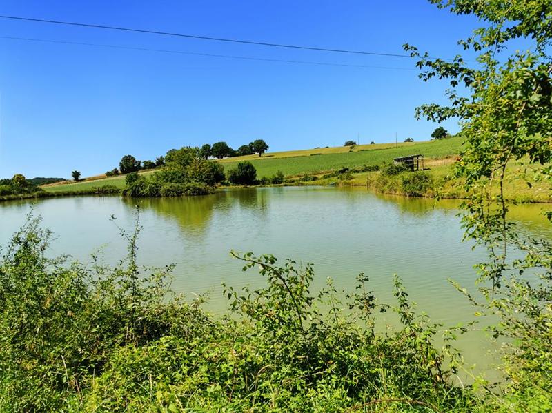 Maison - 167 m² - 7 pièces