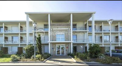 Appartement - 55 m² - 2 pièces