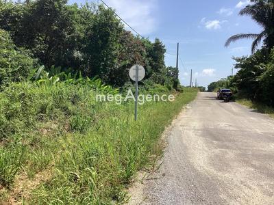 Terrain constructible - 10 000 m²