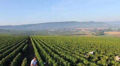 Domaine viticole Champagne Coche