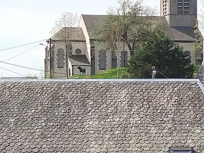 Châlet - 95 m² - 5 pièces