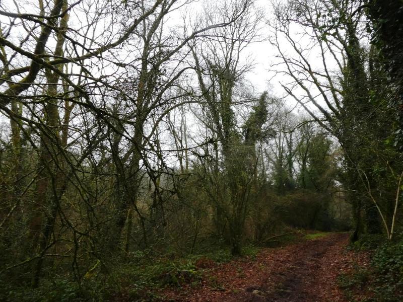 Terrain agricole - 13 922 m²