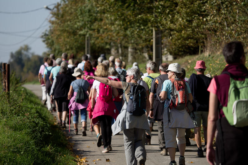 Randonnée gourmande avec visite du Parc Canadien