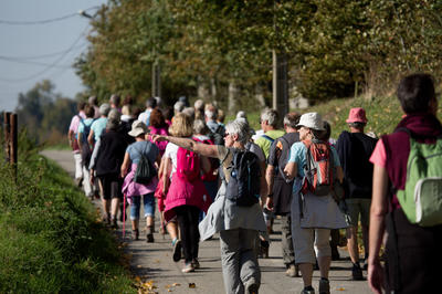 Randonnée gourmande avec visite du Parc Canadien