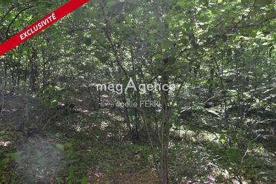 Terrain agricole - 8 130 m²