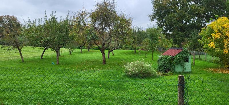 Maison - 113 m² - 5 pièces