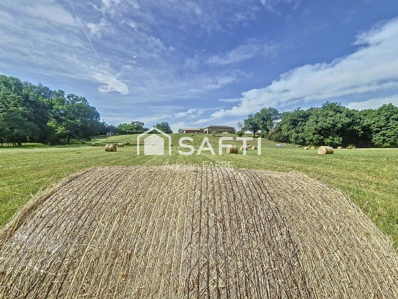 Château - 448 m² - 12 pièces