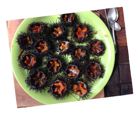 Les Vadrouilles de Karine