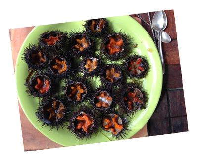 Les Vadrouilles de Karine