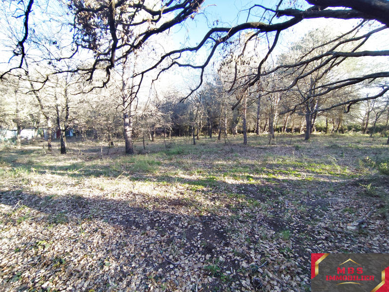 Terrain agricole - 3 705 m²