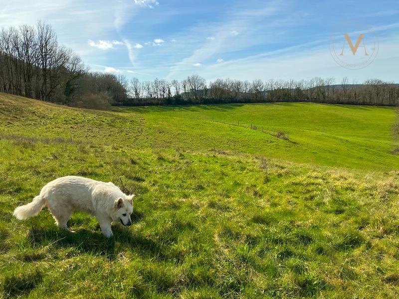 Haras - 388 m² - 12 pièces