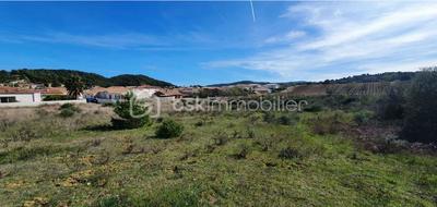 Terrain - 480 m²