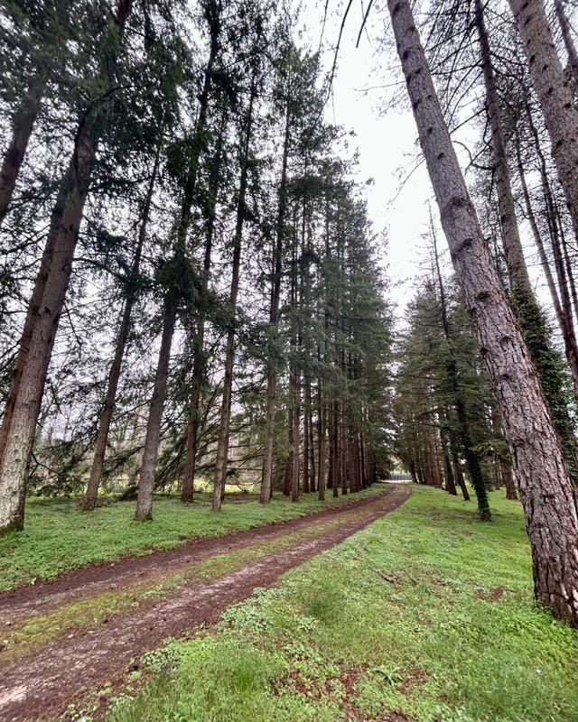 Maison de maîtres - 395 m² - 10 pièces