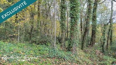 Terrain - 10 039 m²