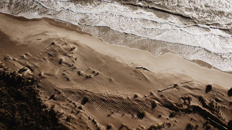 Fonds de commerce - 10 000 m²