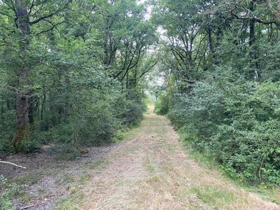 Propriété - 140 m² - 6 pièces