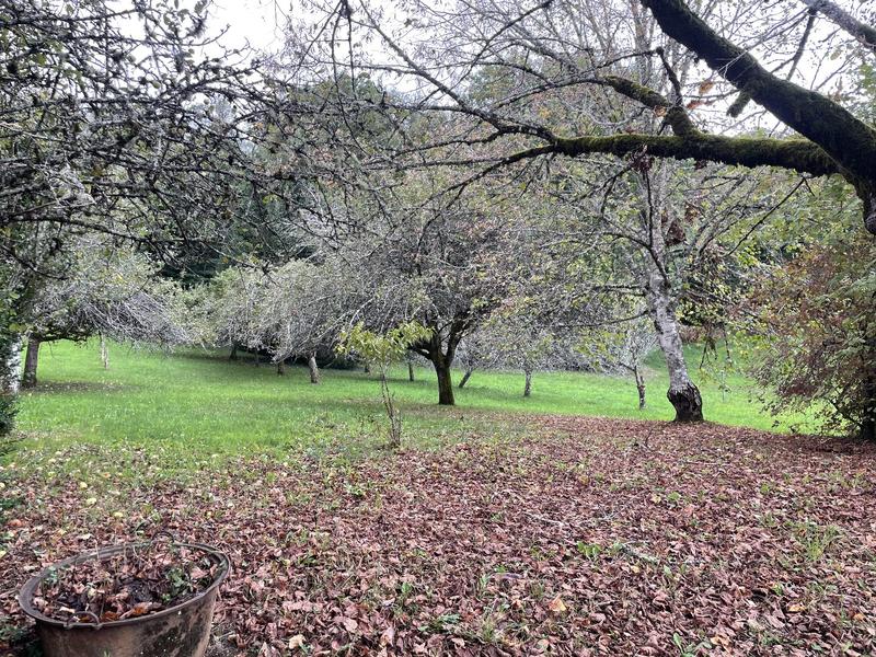 Maison - 124 m² - 5 pièces