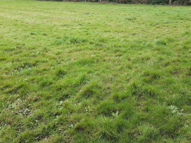 Terrain constructible - 380 m²