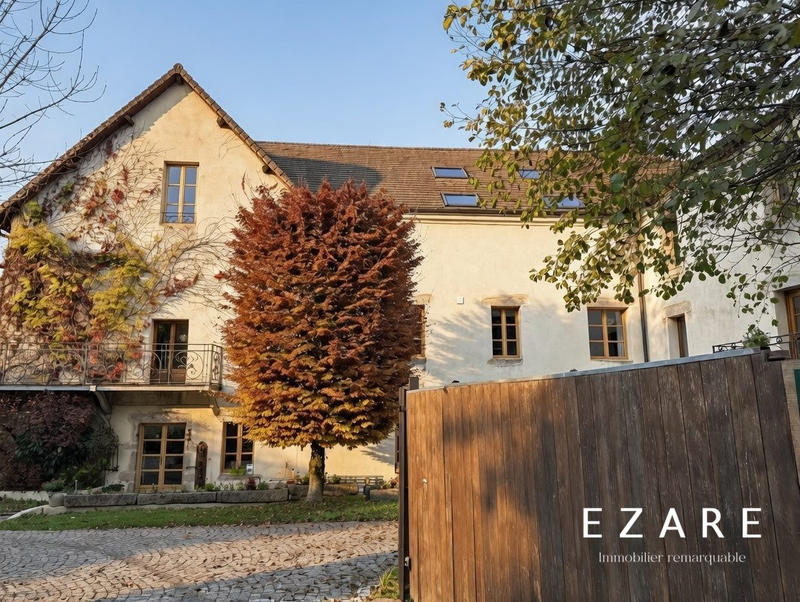 Maison ancienne - 828 m² - 12 pièces