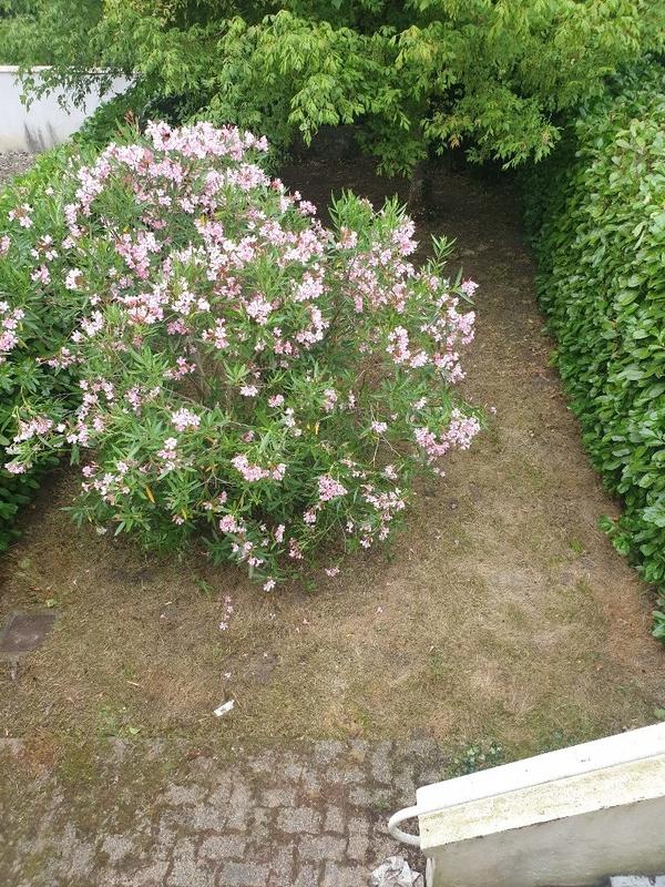 Maison traditionnelle - 140 m² - 5 pièces