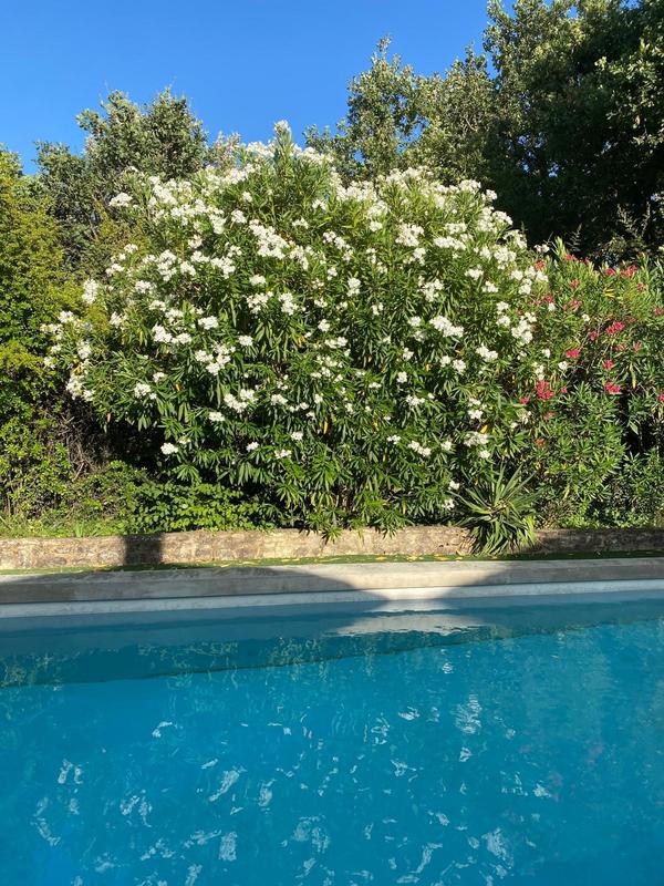 Maison contemporaine - 131 m² - 4 pièces