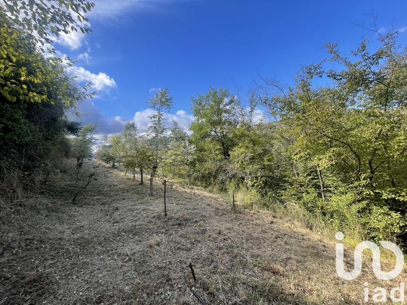 Terrain agricole - 10 100 m²