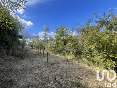 Terrain agricole - 10 100 m²