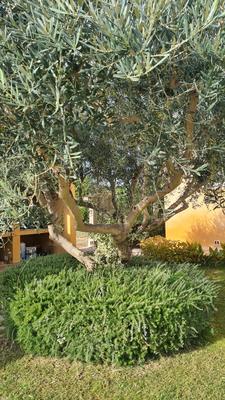 Villa - 154 m² - 4 pièces