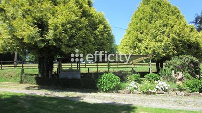 Maison - 290 m² - 11 pièces