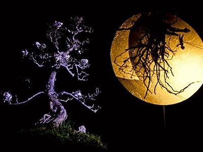 Spectacle - l’Arbre