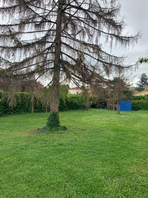 Villa - 131 m² - 5 pièces