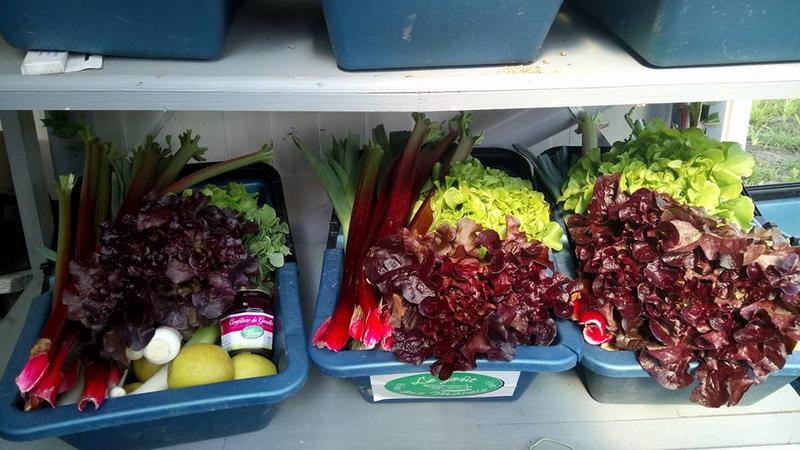 Le Goût des Saisons