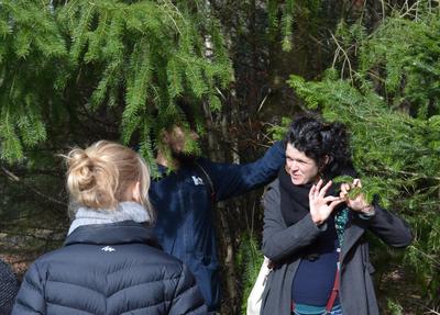 Balade contée à la rencontre des arbres