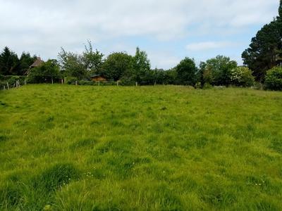 Terrain constructible - 1 000 m²