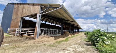 Entrepôt - 1 270 m²