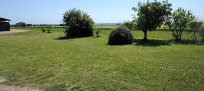 Ferme - 180 m² - 7 pièces