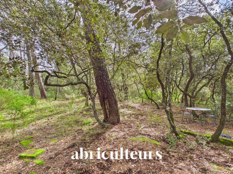 Maison ancienne - 112 m² - 4 pièces