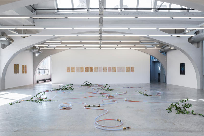 Visite commentée de l'exposition le Souffle de la Subsistance