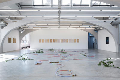 Visite commentée de l'exposition le Souffle de la Subsistance