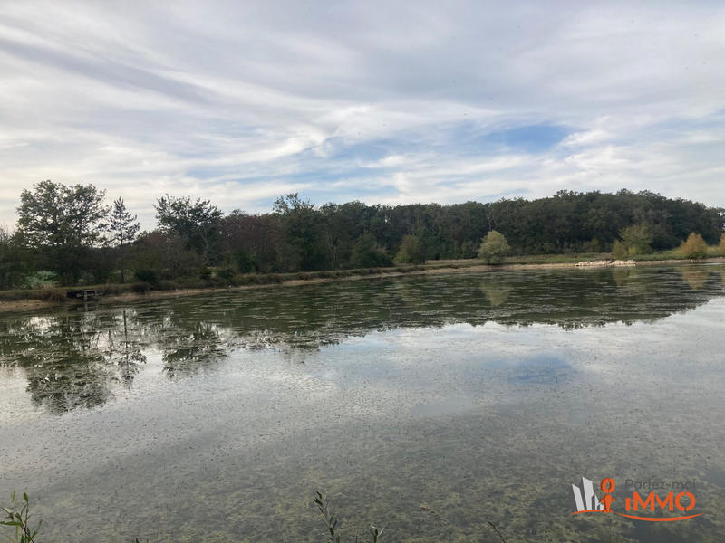 Maison - 335 m² - 12 pièces