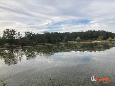 Maison - 335 m² - 12 pièces