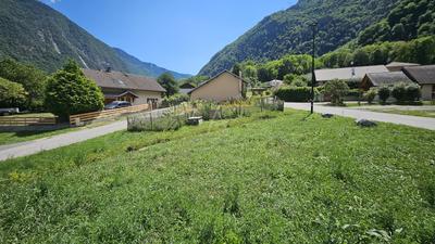 Terrain - 333 m²