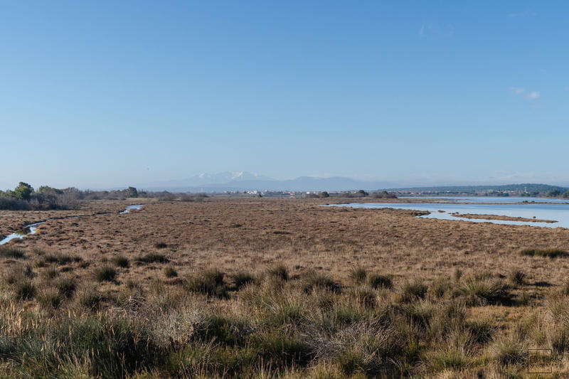 Maison - 39 m² - 3 pièces