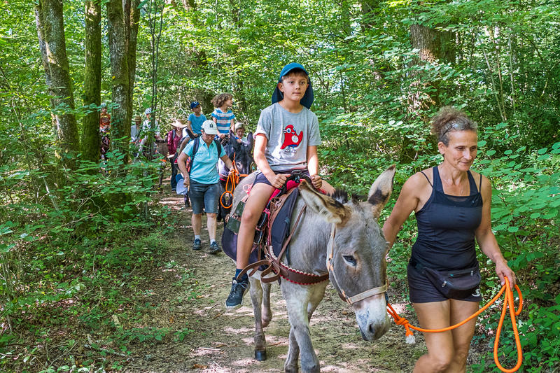 Été actif - balade avec un âne