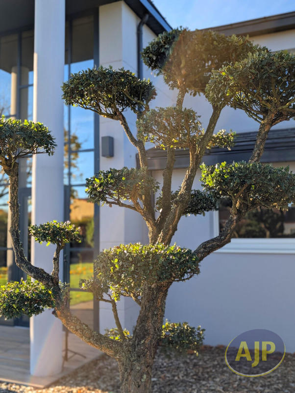 Maison - 394 m² - 15 pièces