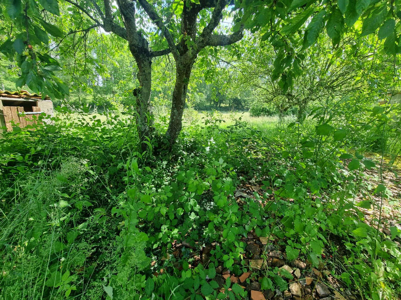 Maison - 68 m² - 3 pièces