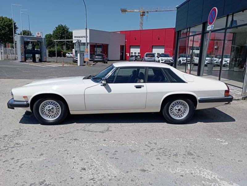 Jaguar Xjs coupé 3.6