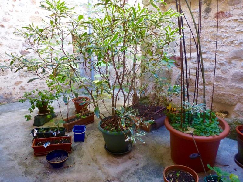 Maison de ville - 205 m² - 8 pièces