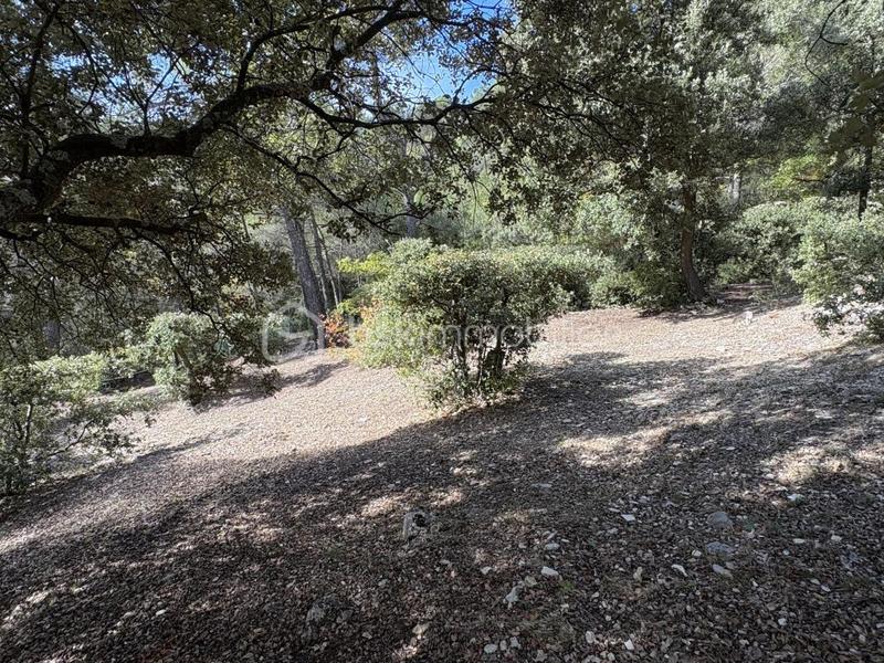 Maison traditionnelle - 170 m² - 5 pièces